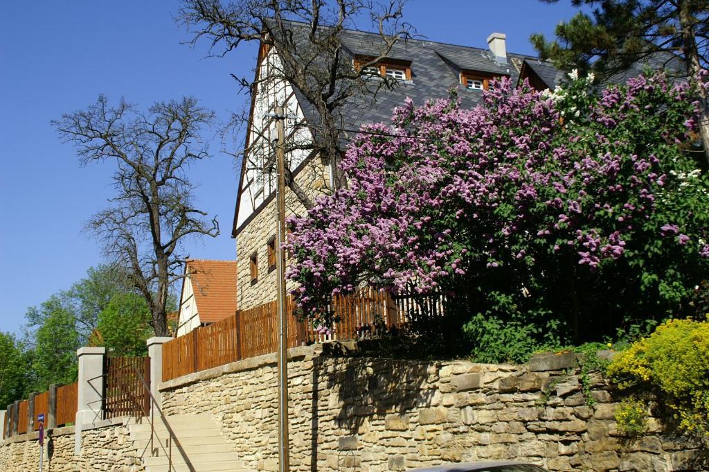 Aparthotel Spa-resort Landlust In Dresden